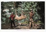 Harvest Time Postcard