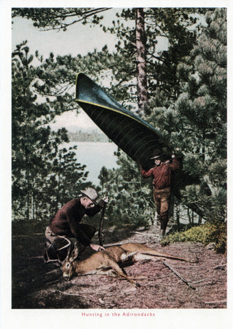 Hunting in the Adriondacks Postcard