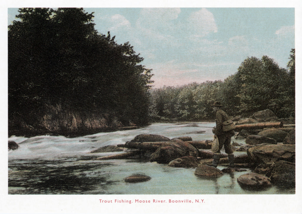 Trout Fishing, Moose River Postcard